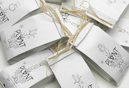 Packaging tulipes - design graphique Sophia Georgopulos - 03 “Plantez vos rêves, et laissez les grandir”: un packaging de tulipes par Sophia Georgopulos