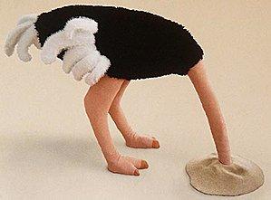 Tout va bien... Detourismemauricie.jpg