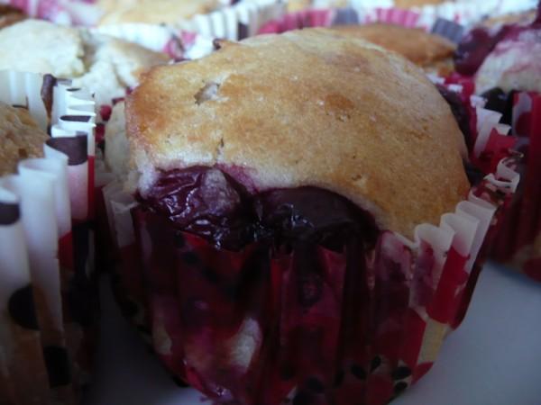 janvier-0131 janvier-0131