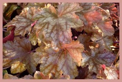 Juste une association que je trouve réussie pour se récha... Juste une association que je trouve réussie pour se récha...