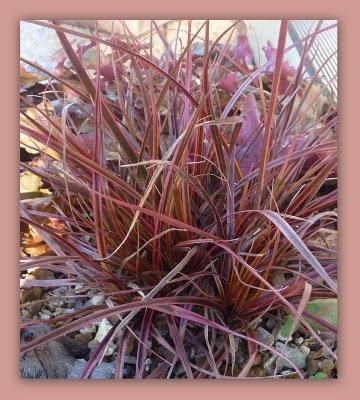 Juste une association que je trouve réussie pour se récha... Juste une association que je trouve réussie pour se récha...