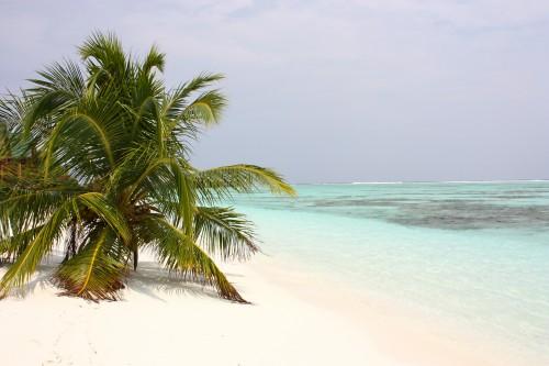 De retour du paradis (part. 1) ... IMG_1597.JPG