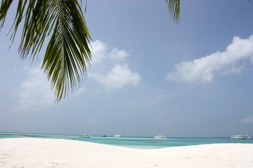 De retour du paradis (part. 1) ... IMG_1169.JPG