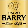 http://www.cacao-barry.com/images/logo_cacaobarry.png