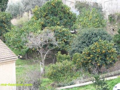 CENCI – Merveilles, suivi d’une balade en Balagne