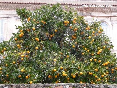 CENCI – Merveilles, suivi d’une balade en Balagne