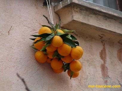 CENCI – Merveilles, suivi d’une balade en Balagne