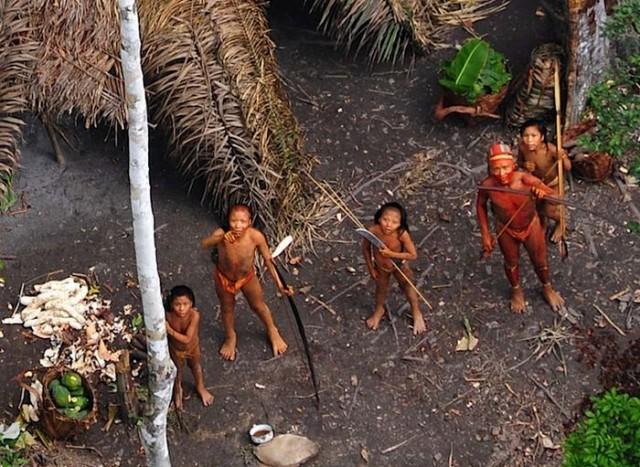 tribu bresil foret amazonie 640x467 Tribu découverte en Amazonie