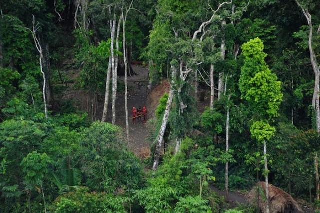 Nouvelle tribu amazonienne 640x426 Tribu découverte en Amazonie