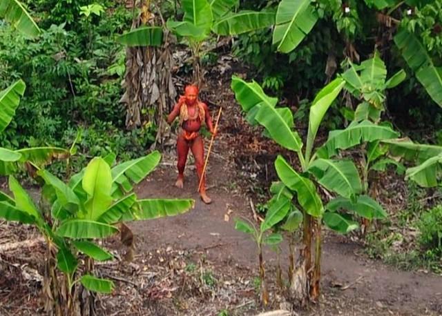 Photos tribu amazonienne 640x458 Tribu découverte en Amazonie