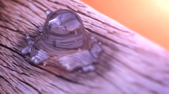 Sommar An illustration of a dream Sommar 02 Sommar An illustration of a dream