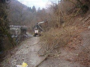 Travaux d'entretien extérieurs DSC00885.JPG