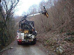 Travaux d'entretien extérieurs DSC00869