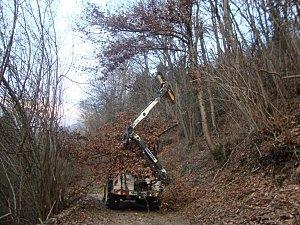 Travaux d'entretien extérieurs DSC00875.JPG