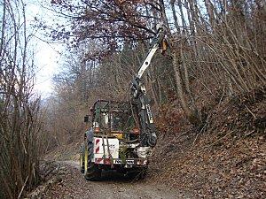 Travaux d'entretien extérieurs DSC00874.JPG