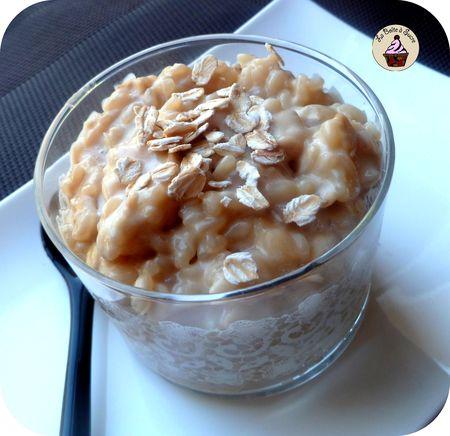 Riz au lait d'avoine à la vergeoise blonde et ses flocons riz_au_lait_avoine_4