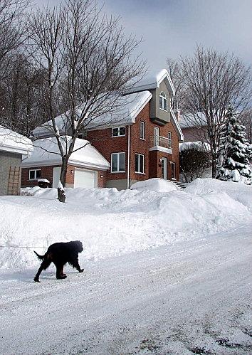 Jusqu'à ce que soleil s'en suive DSC09949