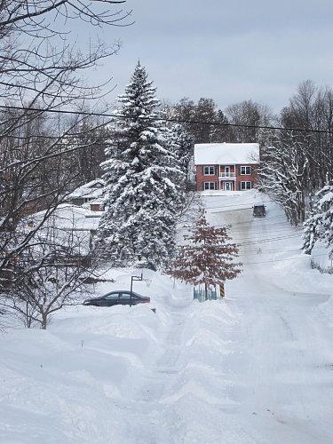 Jusqu'à ce que soleil s'en suive DSC09951