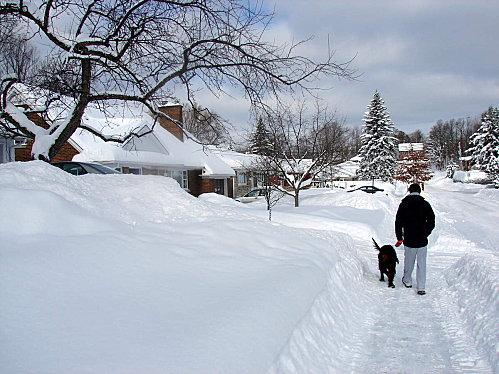 Jusqu'à ce que soleil s'en suive DSC09952