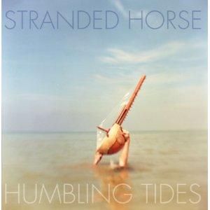 Stranded Horse -