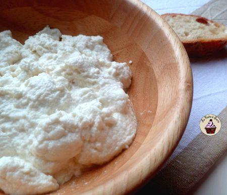 cottage_cheese_5