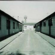 « CAFI, le camp des oubliés » Exposition photographies « CAFI, le camp des oubliés »