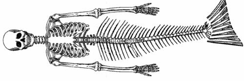 couleur locale et la mousse en plus pour faire joli couleur locale et la mousse en plus pour faire joli