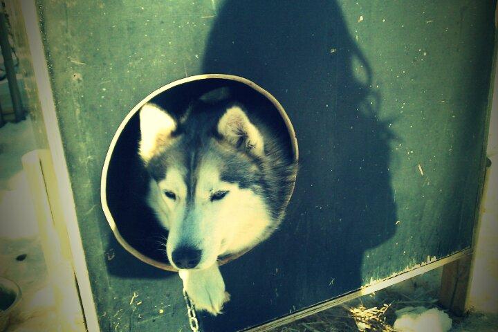 FxCam_1297003645156 Snow Parade