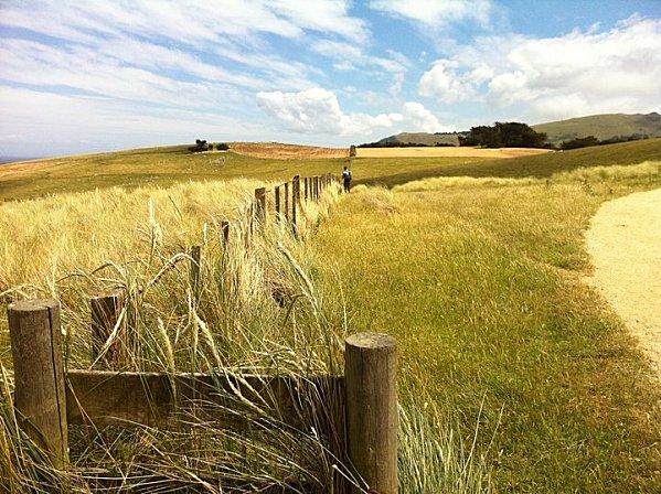 PETIT VOYAGE EN NEW ZELANDE ..... paysage2.jpg