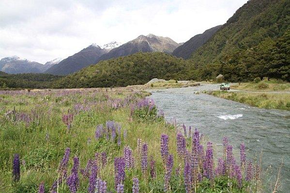 PETIT VOYAGE EN NEW ZELANDE ..... julia-et-ses-voyages-1025.jpg