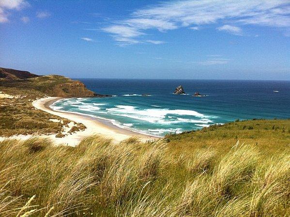 PETIT VOYAGE EN NEW ZELANDE ..... paysage3.jpg