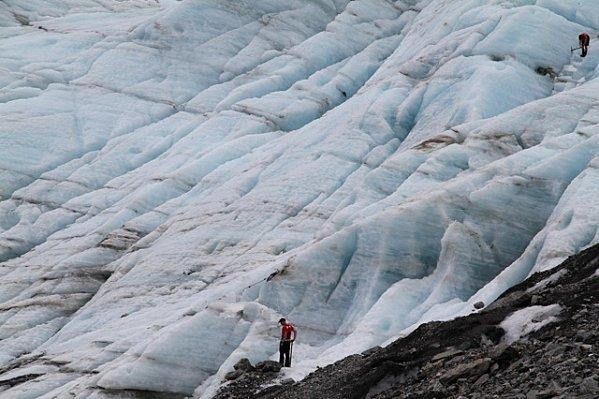 PETIT VOYAGE EN NEW ZELANDE ..... glacier.jpg