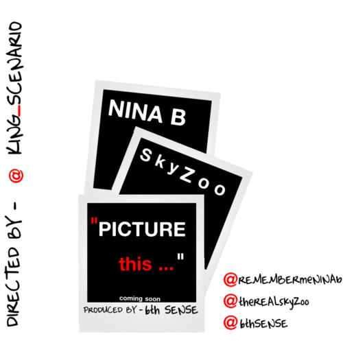 NINA B – Picture This featuring Skyzoo [Mp3]
