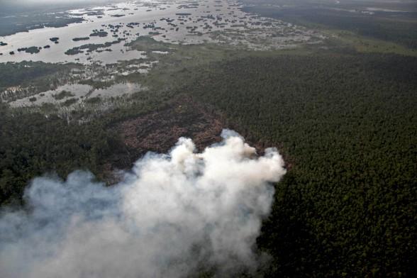 Sumatra Golden Agri ressources offre une pause aux forêts