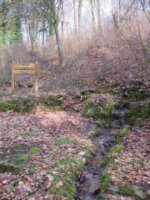 Source de l'oubli Forêt de Moyeuvre -Vitry-sur-Orne