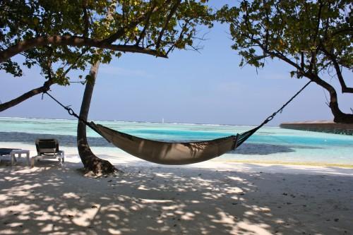 De retour du paradis (part. 4) ... IMG_1661.JPG