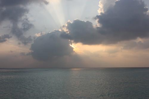 De retour du paradis (part. 4) ... IMG_1709.JPG