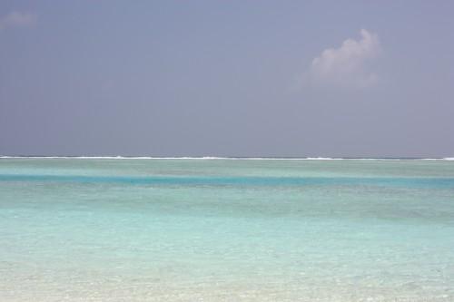 De retour du paradis (part. 4) ... IMG_1757.JPG