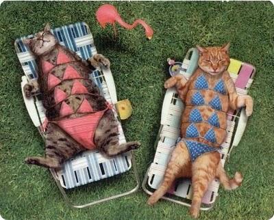 On est pas bien au soleil ? On est pas bien au soleil ?