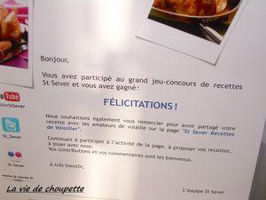 MON NOUVEAU JOUJOU robot_kenwood_004