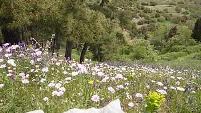 Agréable pause soleil en plein coeur de l'hiver Agréable pause soleil en plein coeur de l'hiver