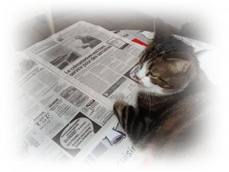 Pirate s'informe, 13 février 2011 Pirate s'informe, 13 février 2011