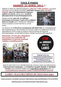 STOP aux animaux dans les labos 250screenshotflyer2304