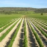 garrigues7 Locations romantiques pour s’évader à deux : reportage sur la sélection