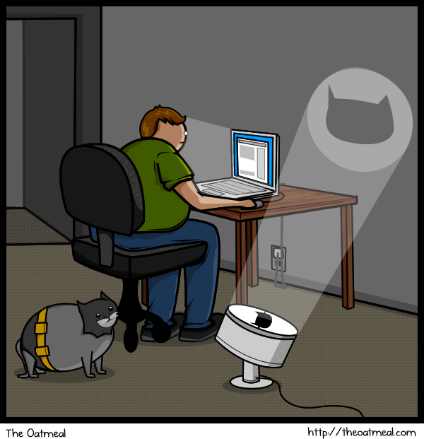 12 Cat vs Internet