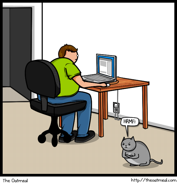 14 Cat vs Internet