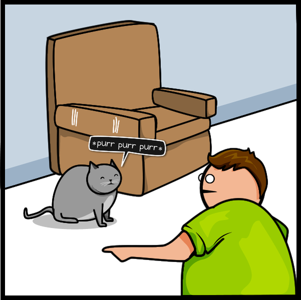19 Cat vs Internet