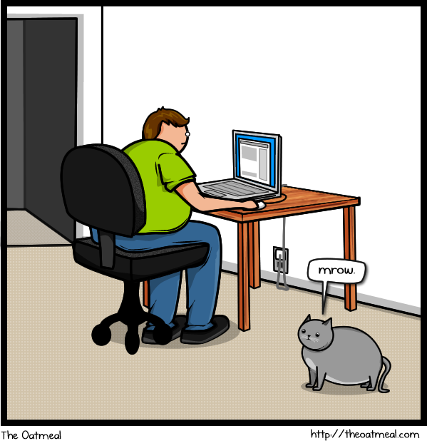 1 Cat vs Internet
