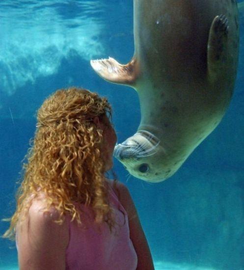 La St Valentin, ça fait tourner les têtes.... et oui jusqu'à minuit! La St Valentin, ça fait tourner les têtes.... et oui jusqu'à minuit!