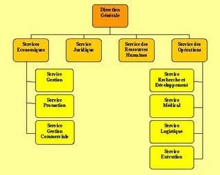 Organigramme du Groupe Charon